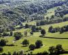 Aménagement du territoire agricole et forestier en Côte-d’Or