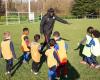 le club de foot de Basseau déborde d’enfants