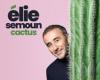 Spectacle Elie Semoun – Cactus