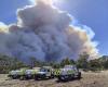 La canicule provoque de violents incendies de forêt en Australie