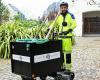 Dans le centre-ville de Quimper, les agents de nettoyage collectent les déchets… en trolley-trottinette