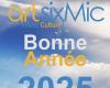 artsixMic : Bonne année 2025 !