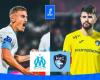 OM-HAC : compositions probables