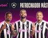 L’OL. Botafogo de Textor signe le plus grand contrat de sponsoring de son histoire