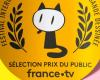 Pourquoi le prix public de la France Télévisions ressemble-t-il à d’autres prix?